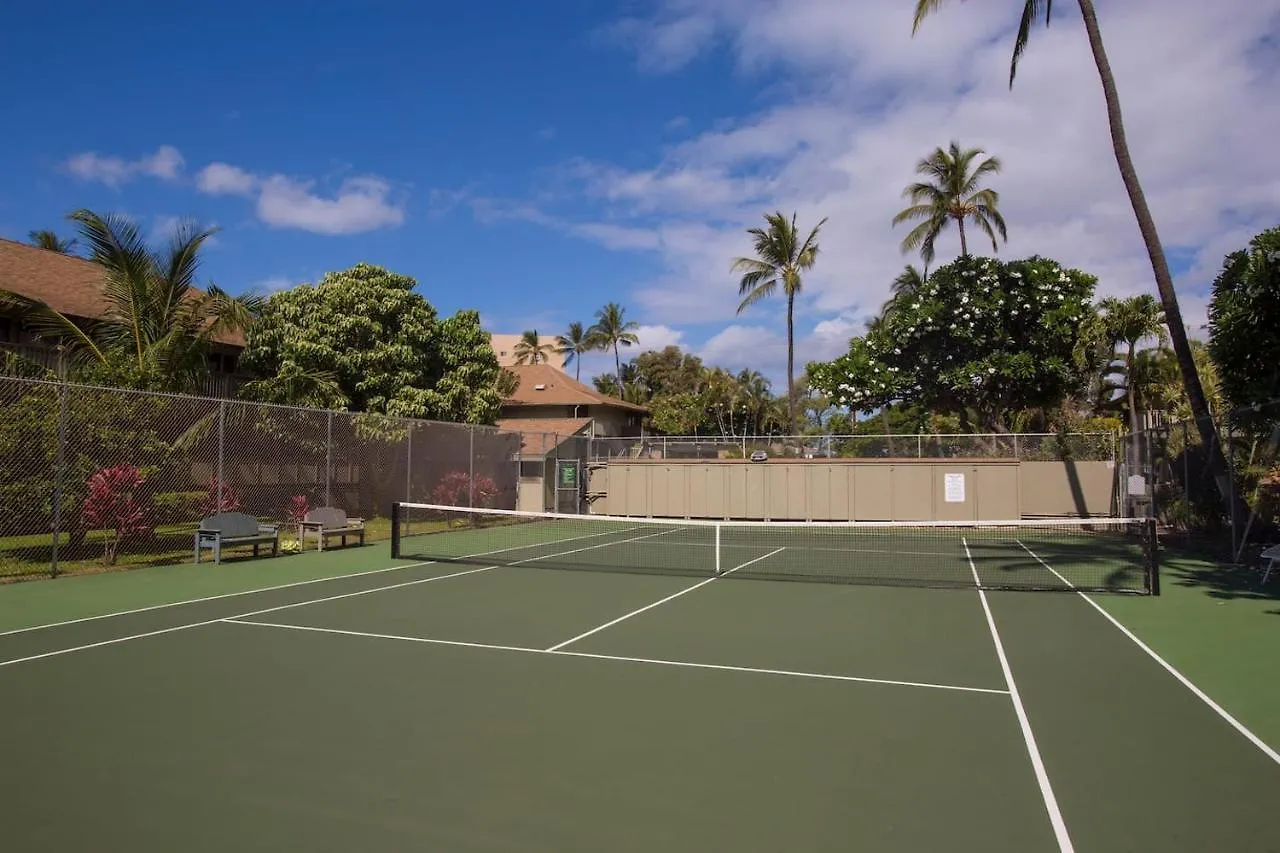 Kihei Bay Surf 227アパートメント 米国